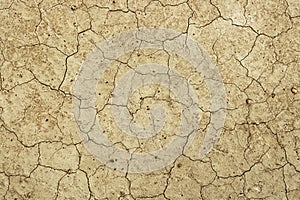 Dry cracked earth - Desert