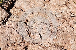 Dry cracked earth desert