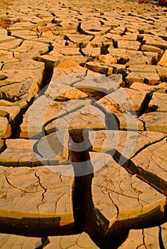 Dry cracked earth - Desert