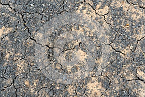 Dry-cracked earth in a field