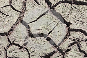 dry cracked earth in Florida wetland