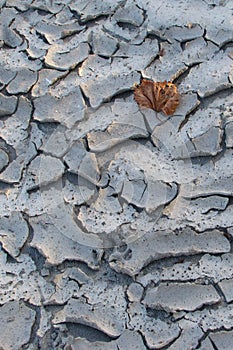 Dry cracked earth ground texture