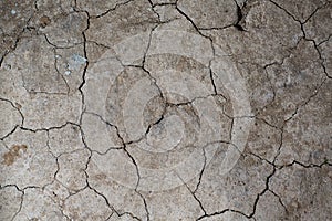 Dry cracked earth ground texture. No watering desert.