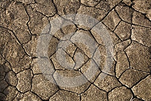 Dry Cracked Earth - Namibia