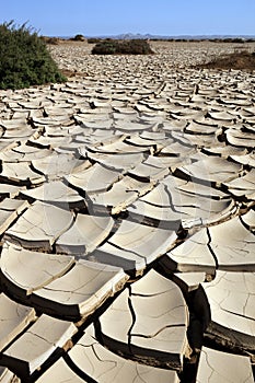 Dry cracked earth - Namibia