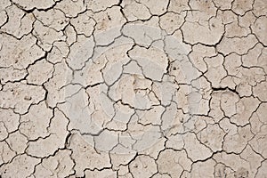 Dry cracked earth surface
