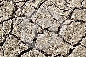Dry cracked earth with surface rainless