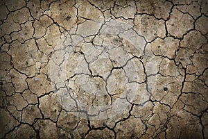 Dry cracked earth texture.