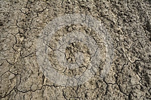 dry cracked earth texture