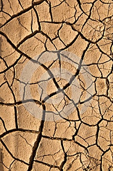 Dry cracked earth texture