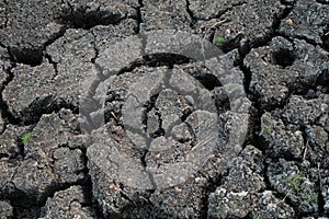 Dry cracked earth texture background. Cracked soil or mud pattern, Surface of drought land