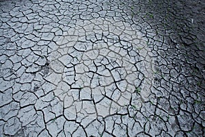 Dry and cracked earth texture for background.