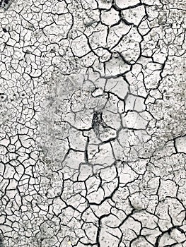 Dry cracked earth texture, cracked earth