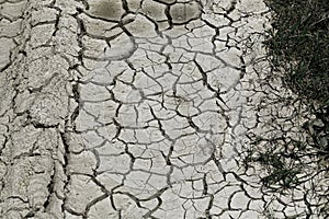 Dry cracked earth texture. Dry soil concept