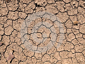 dry cracked earth texture. global warming
