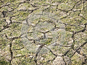 Dry cracked green with traces of white salt on the shore of a natural reservoir, Spain