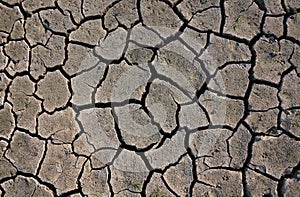 Dry cracked ground