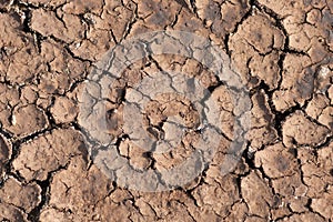 Dry cracked ground