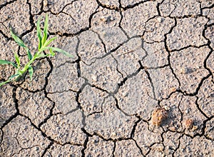 Dry cracked ground