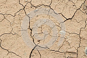 Dry cracked ground