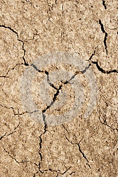 Dry cracked ground background