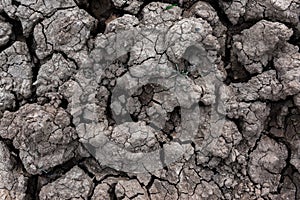 Dry cracked ground for background and design