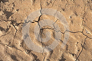 Dry cracked ground background texture