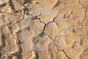 Dry cracked ground background texture