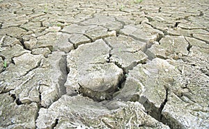 Dry cracked ground becoming a desert