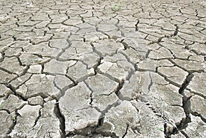 Dry cracked ground becoming a desert