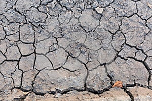 Dry cracked ground in place of dried puddle, top view