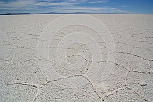 Dry and cracked ground. Salar de Uyuni. PotosÃ­ Department. Bolivia