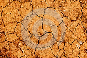 Dry cracked ground soil, top view