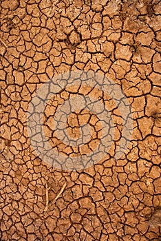 Dry cracked ground surface