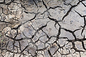 Dry cracked ground surface