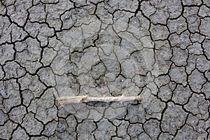 The Dry cracked ground surface for background