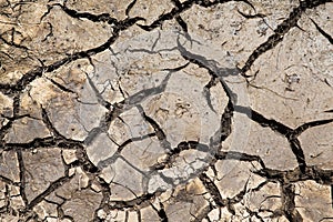 Dry cracked ground surface