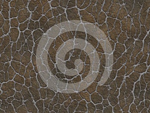 Dry cracked ground texture. abstract relief pattern