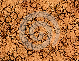 Dry cracked ground texture