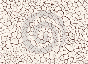 Dry cracked ground textures. abstract relief pattern