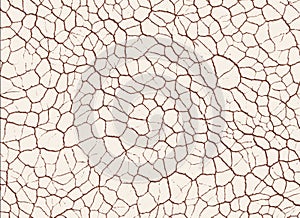 Dry cracked ground textures. abstract relief pattern