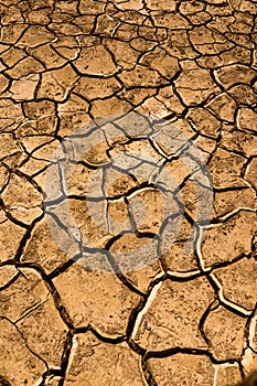 Dry cracked land