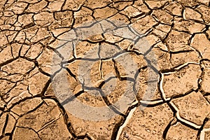 Dry cracked land