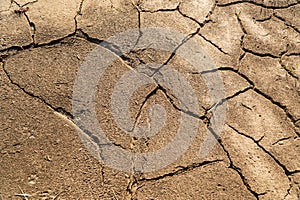 Dry and cracked land. Climate change and drought impact. Dry cracked soil texture and background