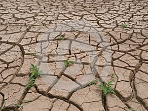 Dry cracked land