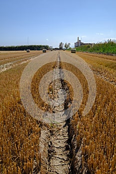 dry and cracked land drought climate problem, affects agriculture.