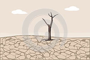 Dry Cracked Land. Soil Erosion and Desertification