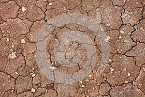 Dry cracked mud