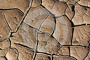 Dry, cracked mud background