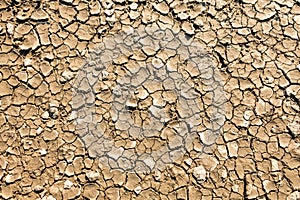 dry, cracked mud